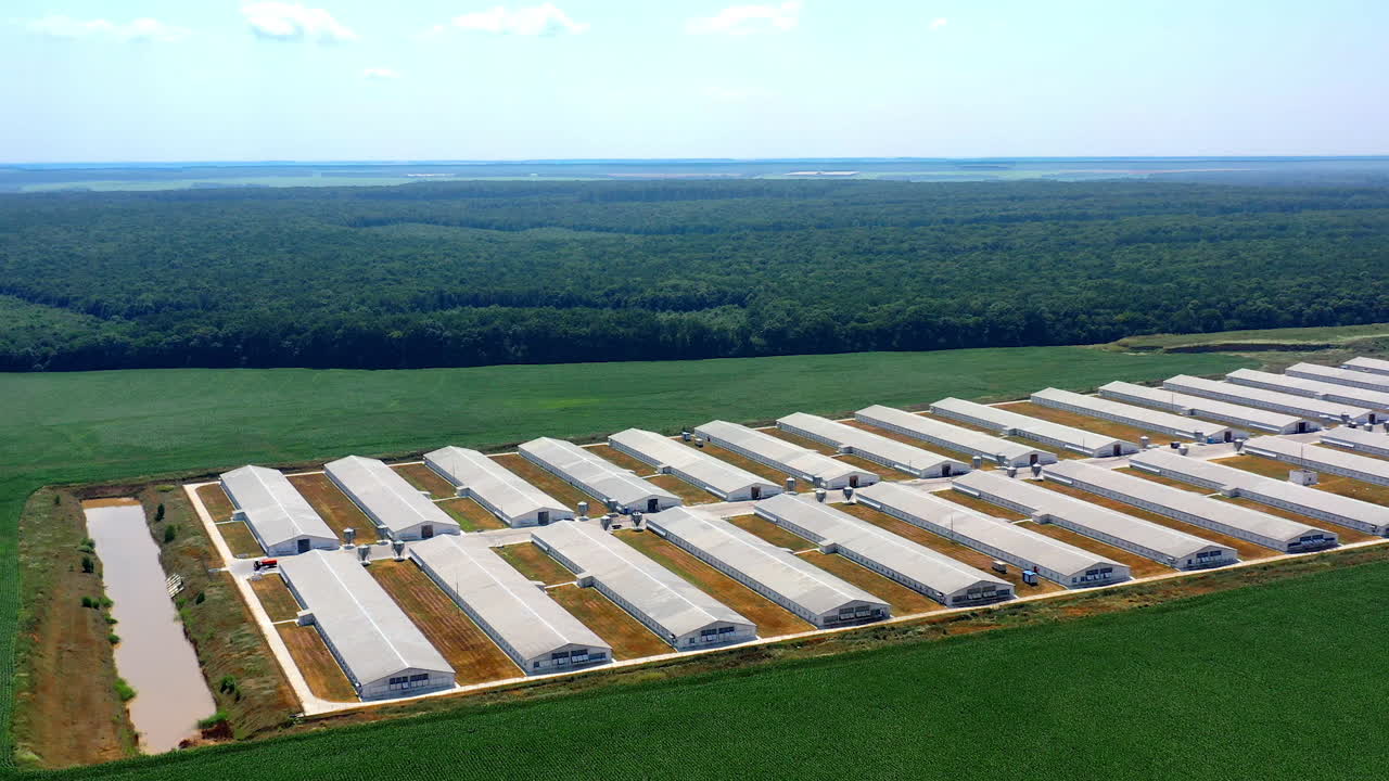 Agricultural factory with barn houses among nature. Modern farm on green forests background. Agriculture farming. Aerial view.