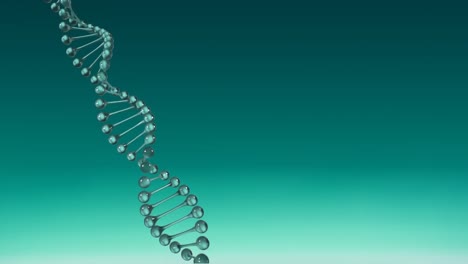 Video-Des-Sich-Drehenden-DNA-Strangs-Mit-Kopierraum-Auf-Grünem-Hintergrund