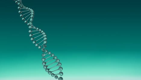video de la cadena de adn girando con espacio de copia en fondo verde