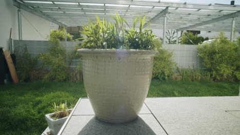 handheld shot of a flower pot standing on the terrace