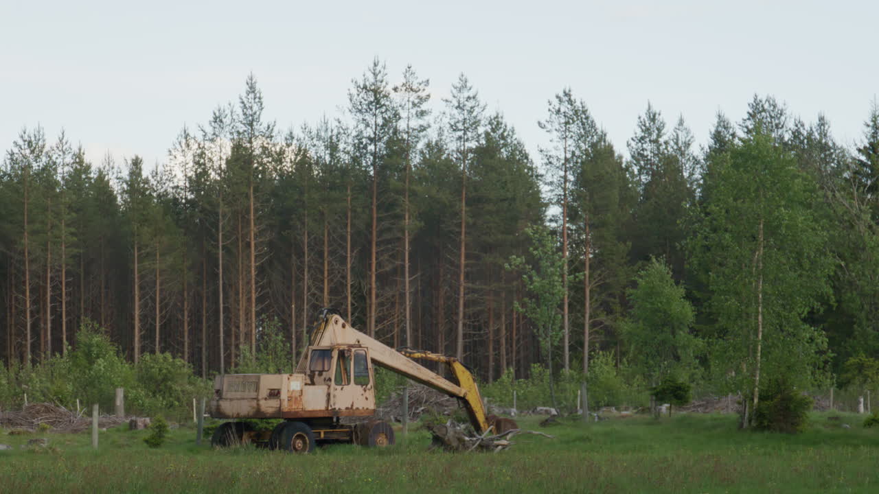 Old rusty excavator resting in a grassy clearing, surrounded by tree stumps and cut logs, symbolizing the remnants of logging activity and industrial impact on natural woodland.