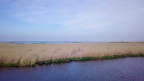 aerial view of the lake overgrown with brown reeds and blue water, lake liepaja, latvia, sunny day, calm weather, low wide angle drone shot moving forward