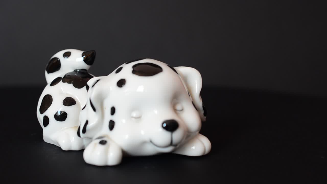 Ripresa di un cane dalmata. Ripresa di una statuetta