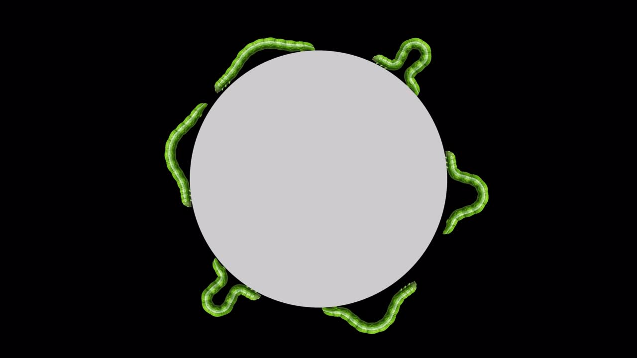 las orugas en el círculo gris, animación en 3d en bucle