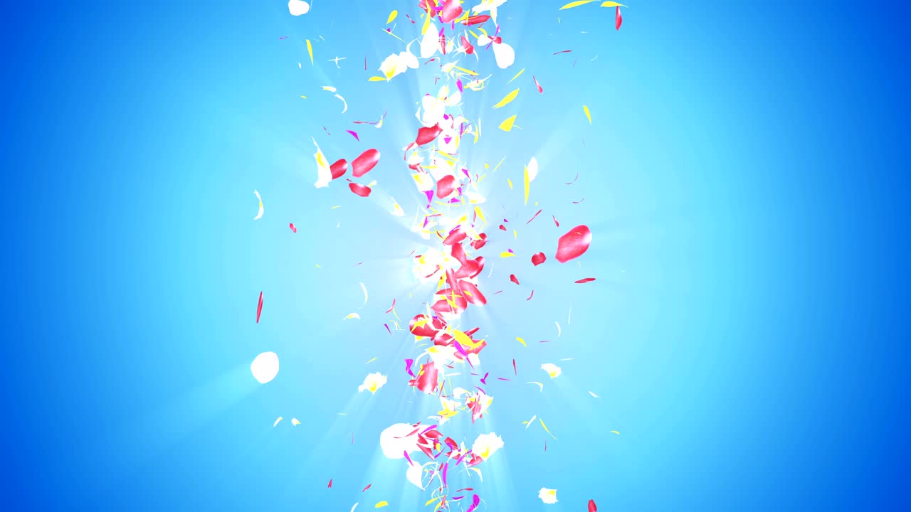 화려한 잎자루, 나선형 반이는 꽃잎, 꽃 모양, 예쁜 춤추는 꽃잎, 회전하는 꽃잎에서 소용돌이, 추상적인 루프 애니메이션.