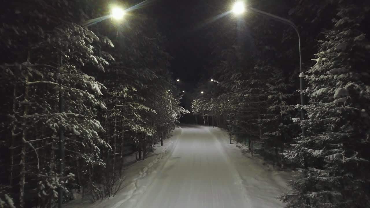 밤에는 눈 인 숲길