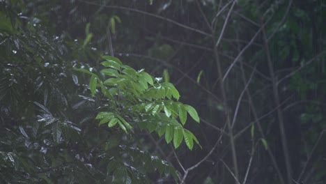 in the rainy season, eastern india receives heavy rainfall during the rainy season