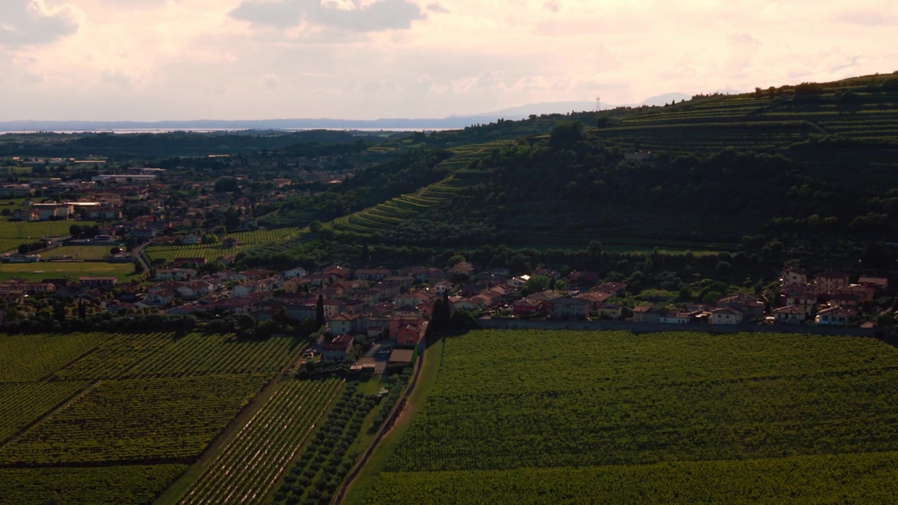 Vigneti a terrazze collinari nella regione Veneto, vicino a un paese, zona della Valpolicella, vicino a Verona, Italia