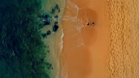 tourists walking at beach 4k