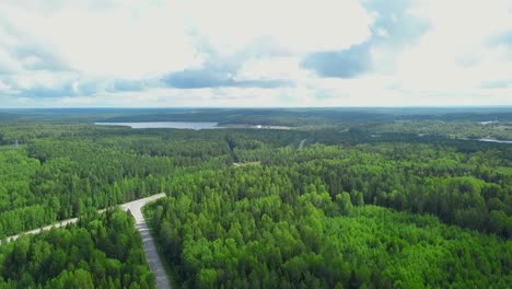 aerial view of forest and road