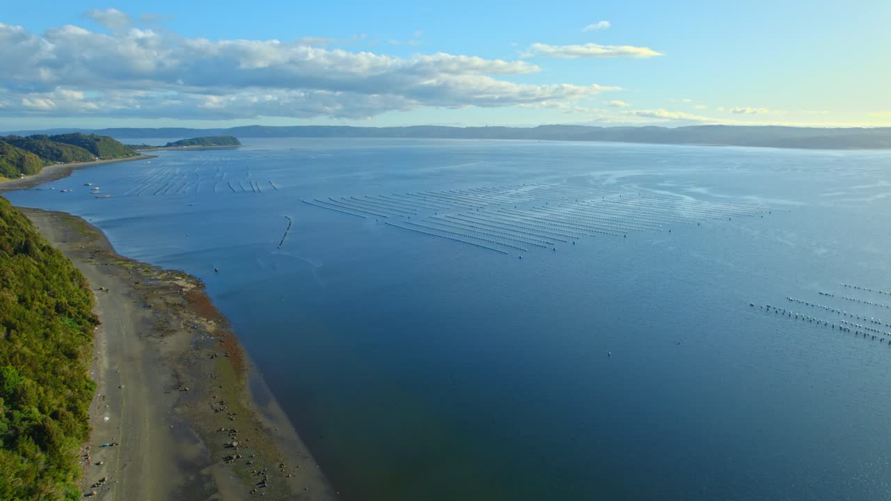 공중 드론 플라이오버 풍경적 인 칠레, 바다에서 대량 시망, 4k 칠레