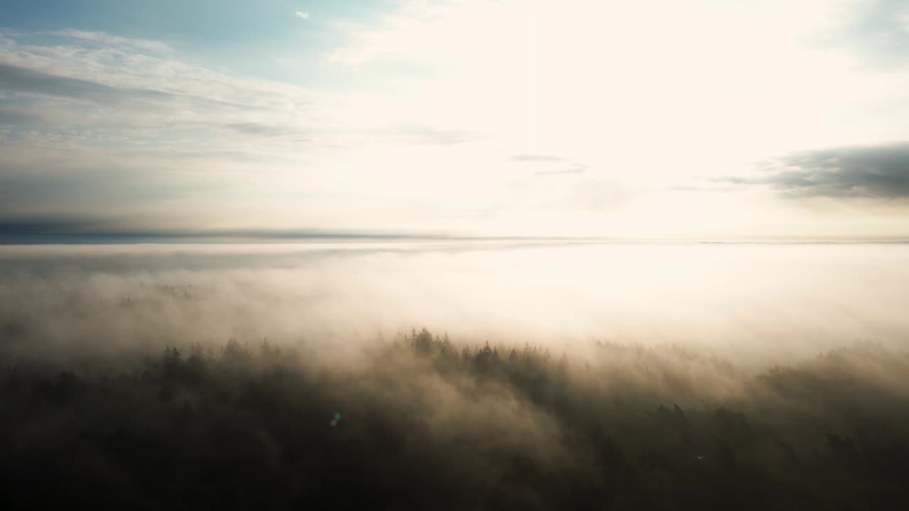 Peaceful aerial view of Veluwe forest blanketed in soft morning fog with sunlight spreading over treetops creating dreamy golden atmosphere and tranquil natural landscape in early dawn