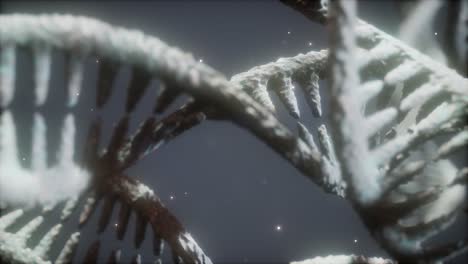 double helical structure of dna strand close-up animation