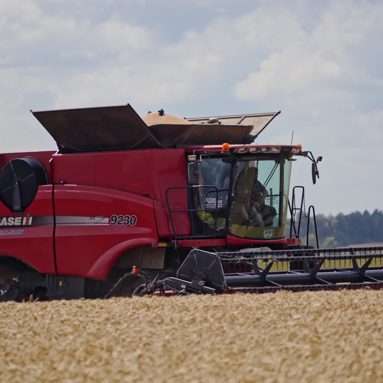 Combine harvester on wheat field
