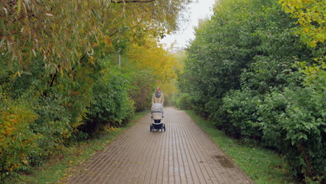 mum walking with baby walking in autumn park