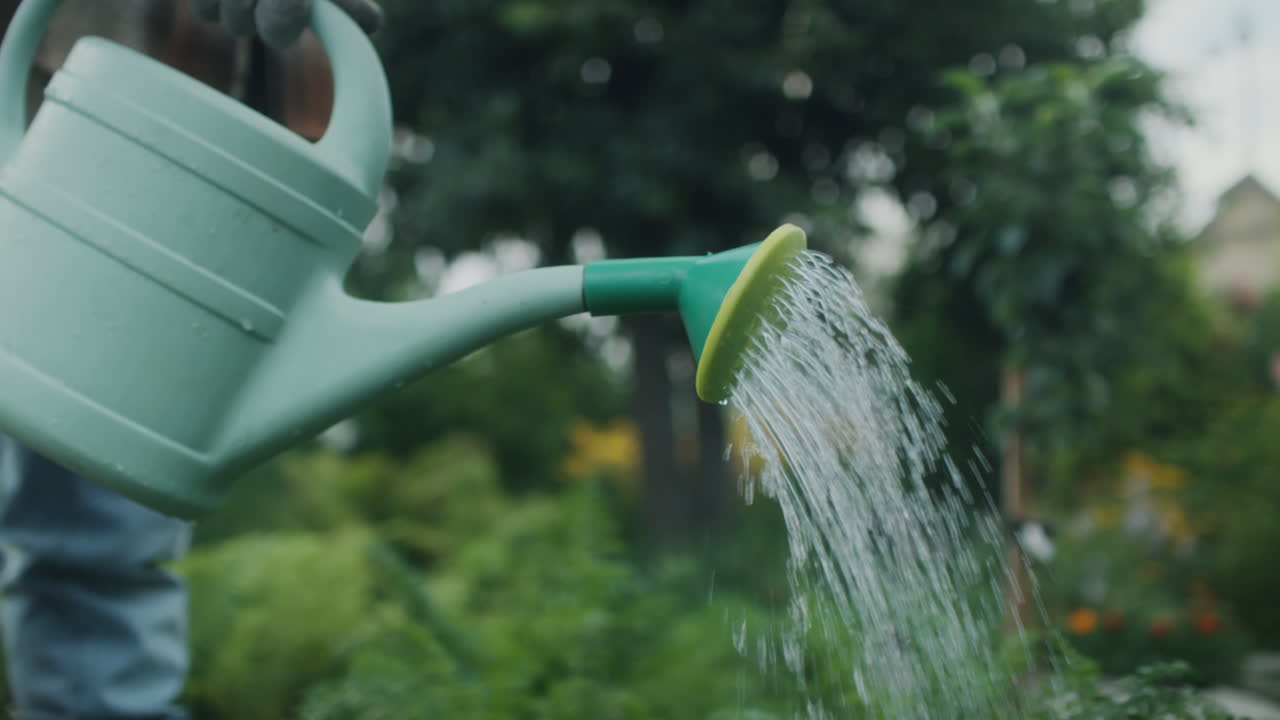 Person watering plants in a garden with a green watering can