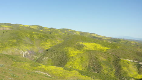 una impresionante vista aérea captura la belleza de las llanuras de carrizo al pie de las colinas, con una delicada capa verde que adorna sus montañas