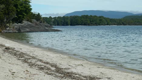 lakeside tranquility: captivating stock footage of a serene beach on lake manapouri