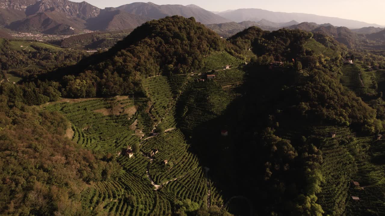 Vista aerea sulle famose colline del Prosecco con numerosi filari di vigneti e montagne sullo sfondo, Italia
