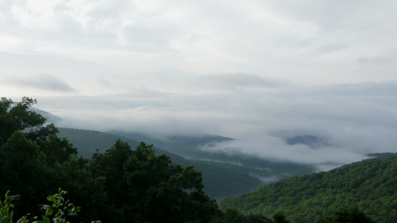 Pan from a forest road out to a view of the mountains.