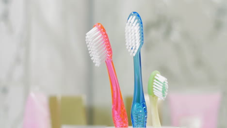 childs and adults toothbrushes in the cup