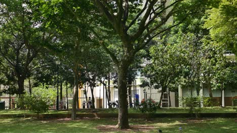 peaceful park scene in a singaporean residential area