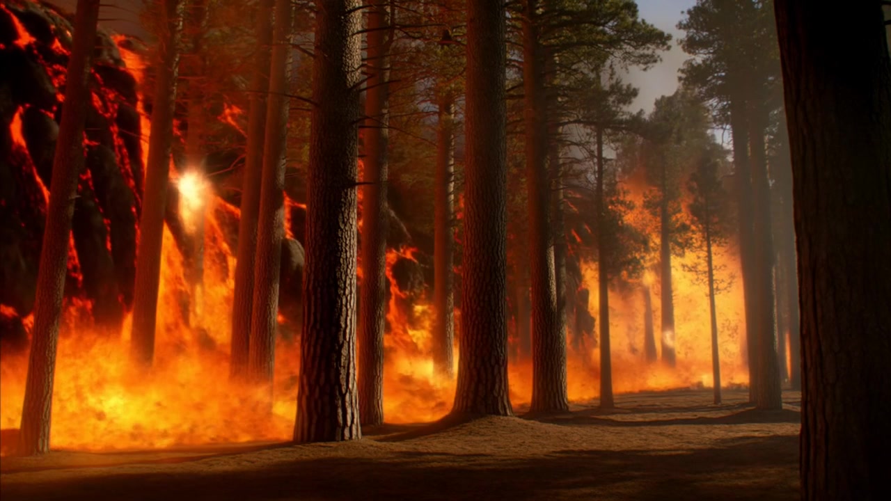 Vasto incendio boschivo alimentato dal vento che si propaga attraverso una pineta secca, bruciando i tronchi e lanciando braci.