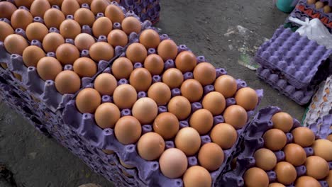 a stack of purple egg cartons with brown eggs inside for sale at market in machachi, ecuador