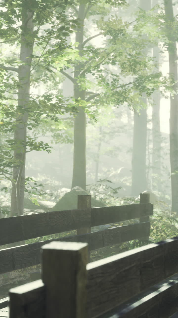Serene forest path with wooden fence surrounded by misty trees