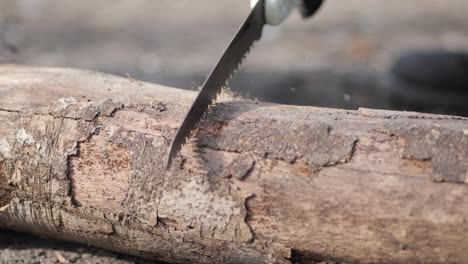 close up on man cutting tree trunk with handsaw to make campfire in forest camp