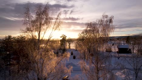 puesta de sol de invierno detrás de las ramas de los árboles en el campo