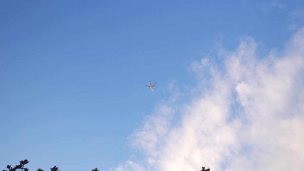 从地面仰望天空中的飞机，正在爬升进入云层。天气晴朗明亮。画面底部可见树枝。