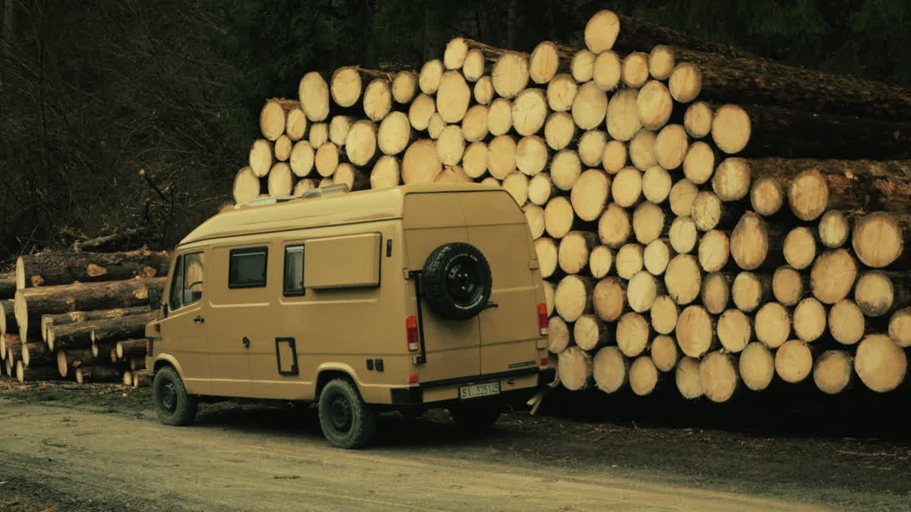 Van parked next to a woodpile in a forest