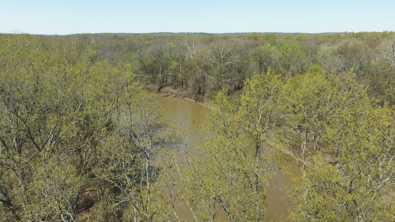 Fiume e foreste del Lower Hatchie National Wildlife Refuge in Tennessee, USA - Ripresa aerea con drone