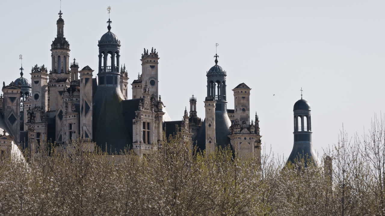 Majestic French Renaissance castle towers above trees on a clear spring day