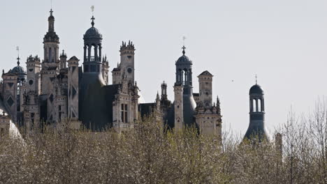 majestic french renaissance castle towers above trees on a clear spring day
