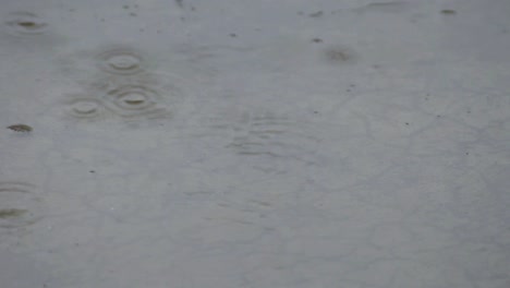 puddle of rain water on a cracked cement in the rain with some bubbles