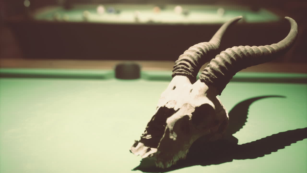Decorative goat skull on a billiard table displaying vintage ambiance