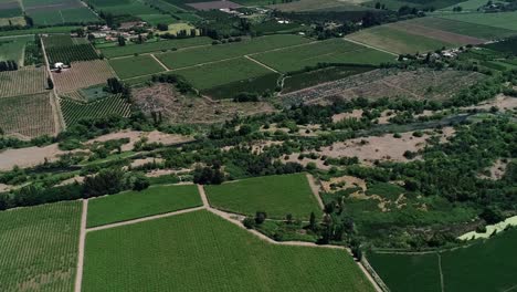 imágenes de drones de 60 fps de un bonito paisaje del valle chileno lleno de viñedos