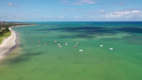vista desde un avión no tripulado de la playa de carpenter en alagoas, brasil