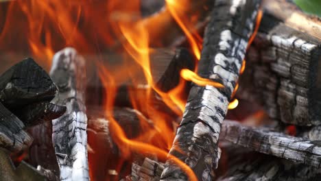 coals are burning in fire flame. orange fire transforms the wood into charcoal in the grill. background of burning logs. close-up.
