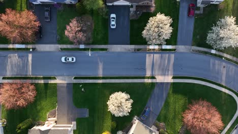 Top-down-aerial-tracking-shot-of-white-car-driving-in-American-neighborhood-during-springtime