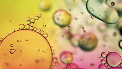 abstract colorful food oil drops bubbles and spheres flowing