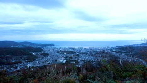 la mejor vista en otaru