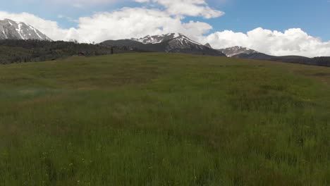 Snow-covered-rocky-mountains-and-open-hillside-fly-over-tall-grass-during-the-spring