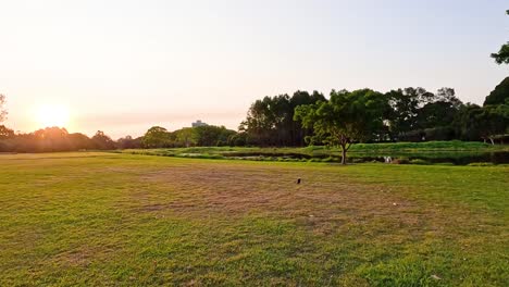 una pareja caminando durante la puesta de sol en un parque