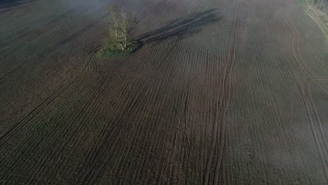 Patrones-De-Cultivo-Desde-El-Aire