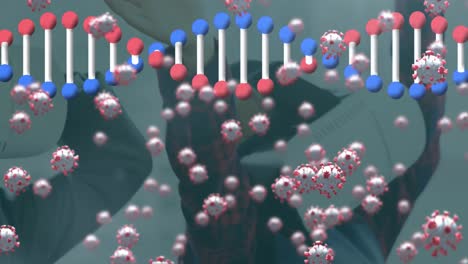 Animation-Von-Covid-Zellen,-Die-über-Einem-Sich-Drehenden-DNA-Strang-Schweben