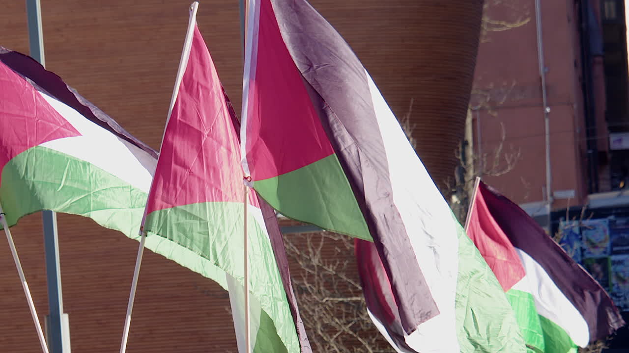 banderas de palestina ondean en una manifestación de apoyo en helsinki, finlandia