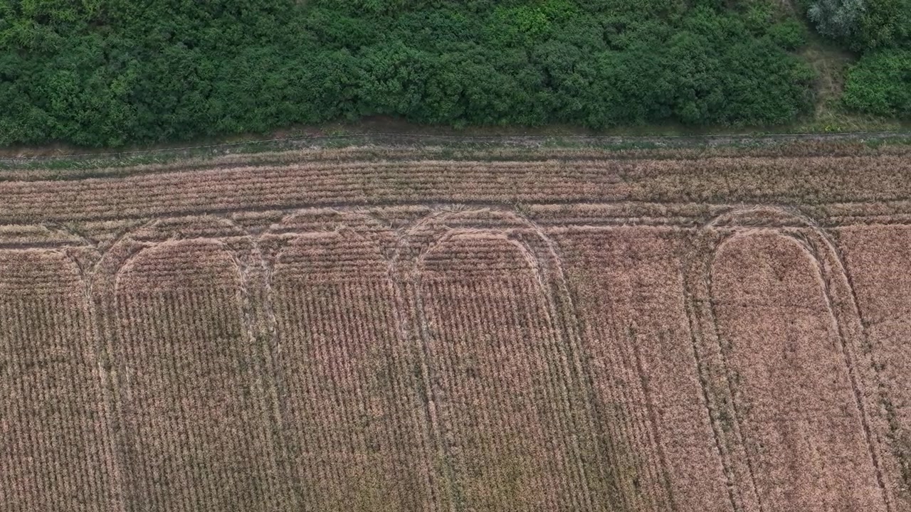 An aerial view reveals distinct curvilinear patterns from tractor tracks on a cultivated field, bordered by a dense green forest.